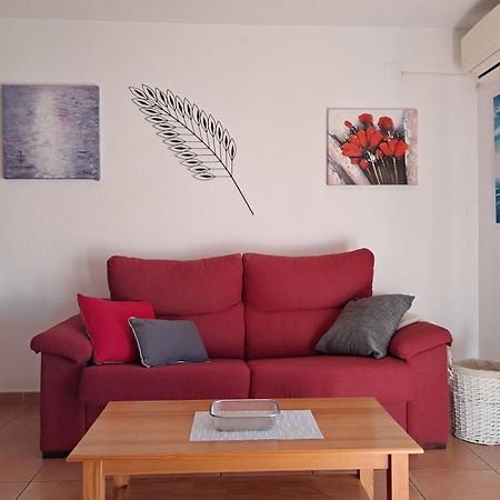 Amplio Y Agradable Apartamento Wifi Gratis 托罗克斯科斯塔 外观 照片
